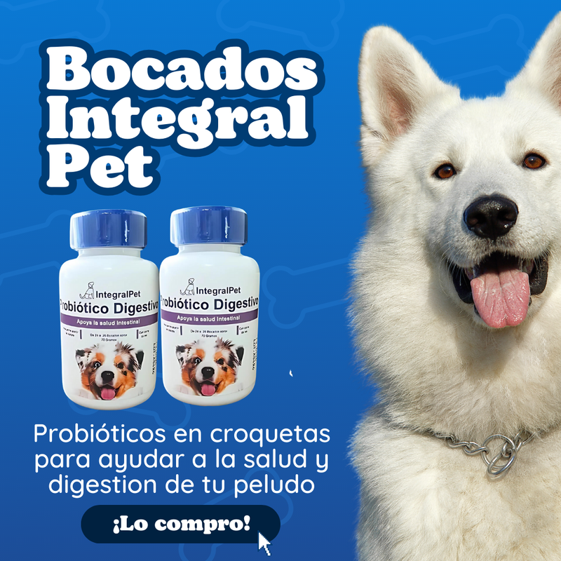 Bocados Integral Pet- Probióticos en croquetas, aprovecha nuestra promoción 2x1 y 3x2 🐶 🦴